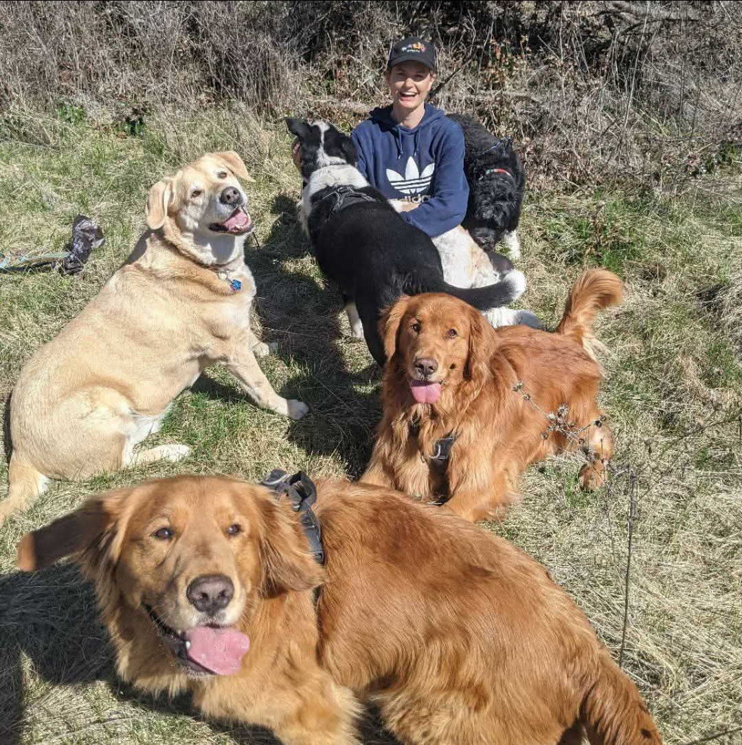 Our pack leader with happy dogs enjoying the outdoors