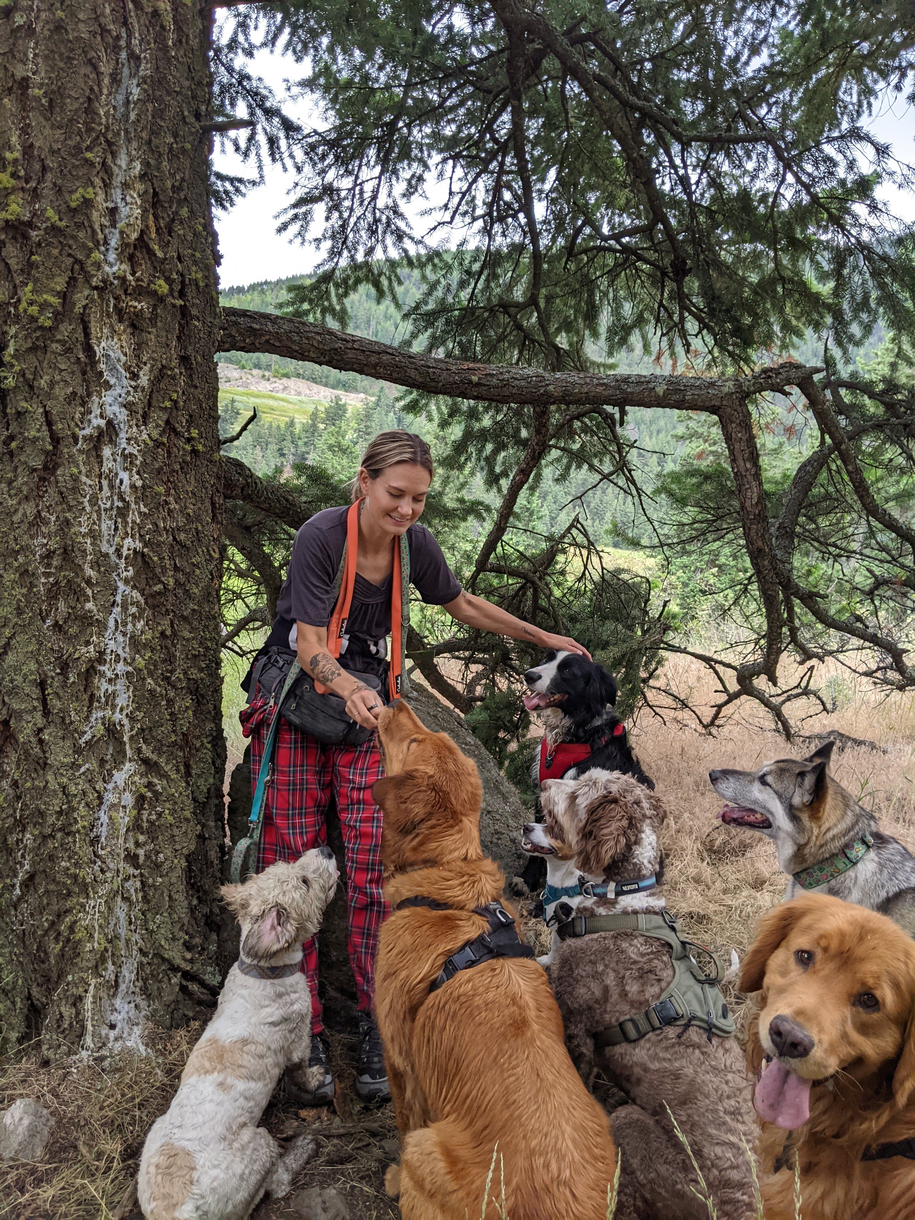 Jenny sitting in a beautiful forest setting surrounded by a large pack of happy dogs of various breeds, showcasing the natural outdoor environment where The Happy Pack adventures take place