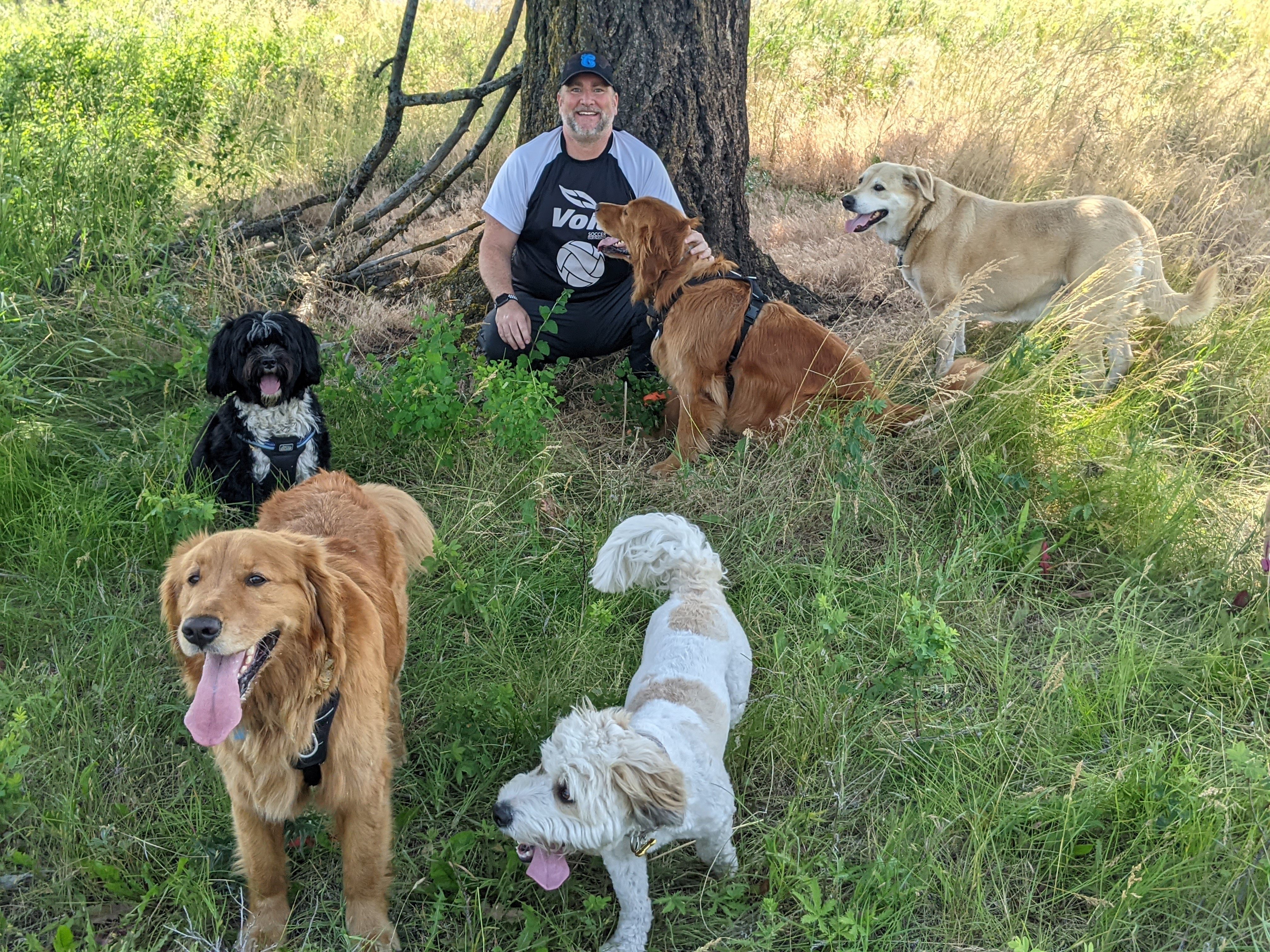 Scott Radford sitting under a tree surrounded by several happy dogs of different breeds in a natural outdoor setting