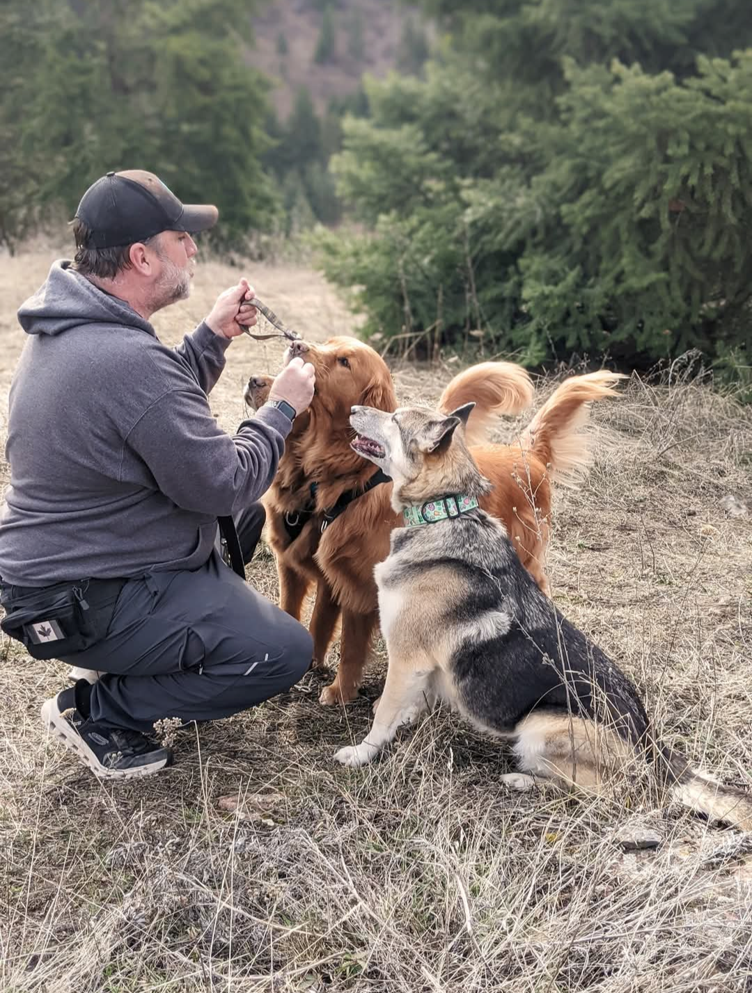 Scott kneeling down with a golden retriever and German Shepherd, giving them treats on a hillside trail