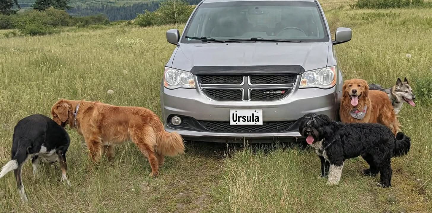 Ursula, the silver Dodge Grand Caravan with a custom Ursula license plate, parked in a mountain meadow surrounded by happy dogs